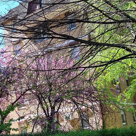 Rivijera Belgrade